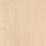 Sand Birch