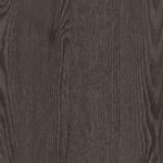 Anthracite Mountain Larch